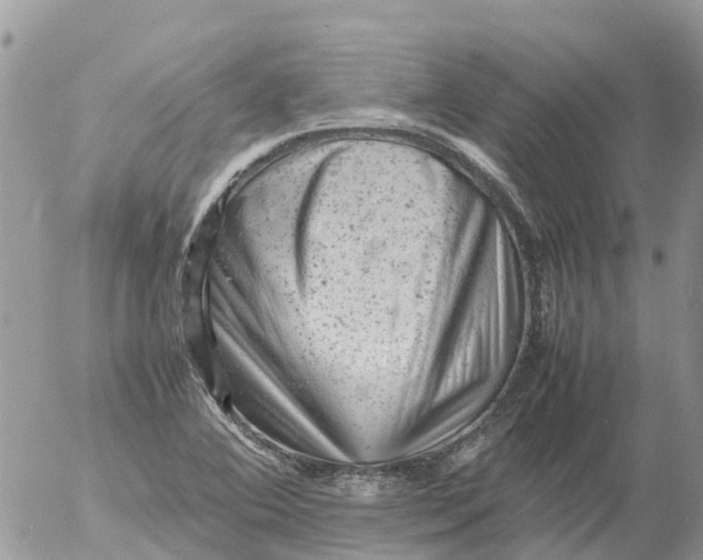 X0000053151364200508012259