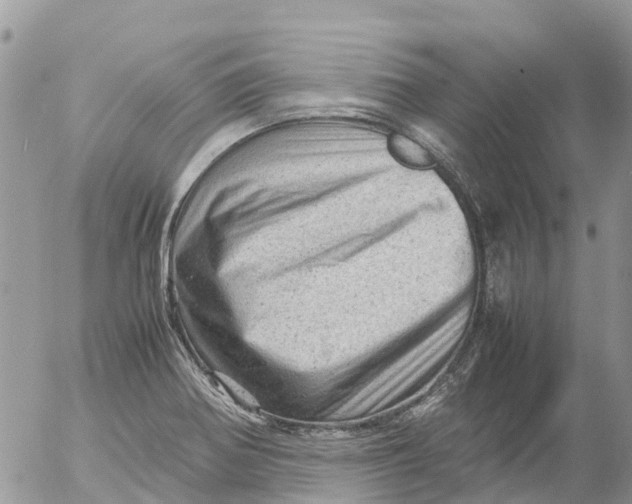 X0000053151370200508012259