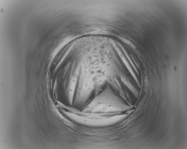 X0000053151375200508012258