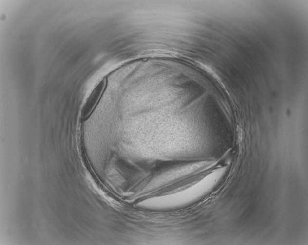 X0000053151379200508012258