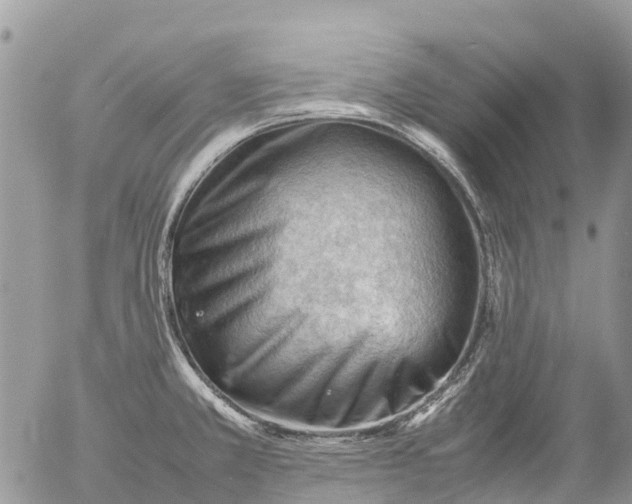 X0000053151381200508012258