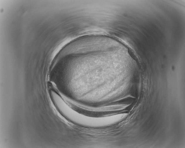 X0000053151383200508012258