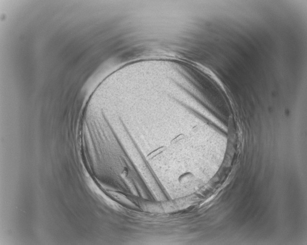 X0000053151387200508012258