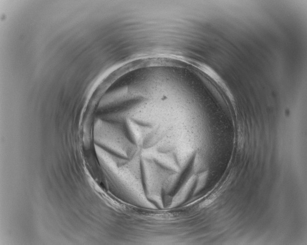 X0000053151388200508012258