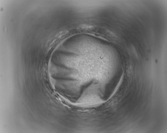 X0000053151397200508012257