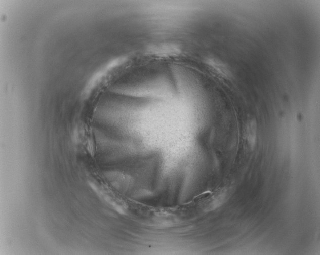 X0000053151398200508012257