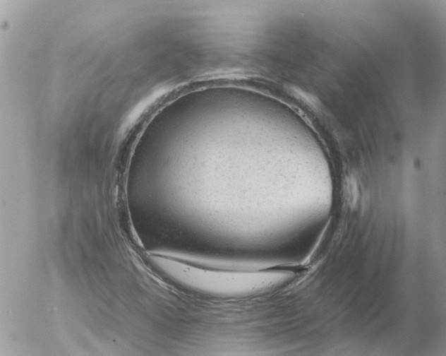 X0000053151406200508012258