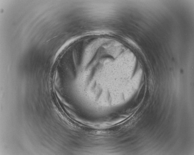 X0000053151412200508012258