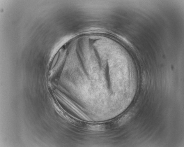 X0000053151413200508012258