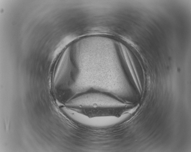 X0000053151415200508012258