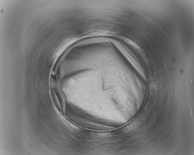 X0000053151423200508012258