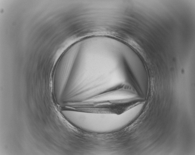X0000053151428200508012258
