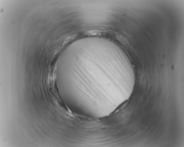 X0000053151442200508012257