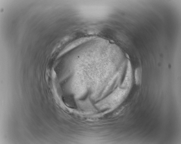 X0000053151443200508012257