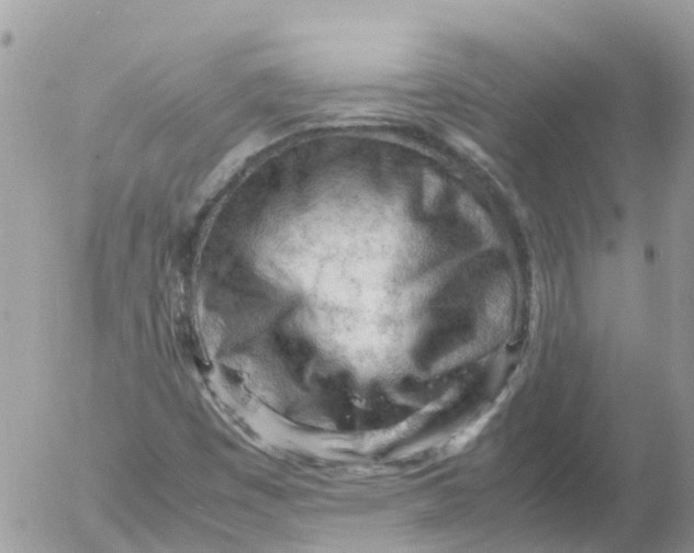 X0000053151449200508012257