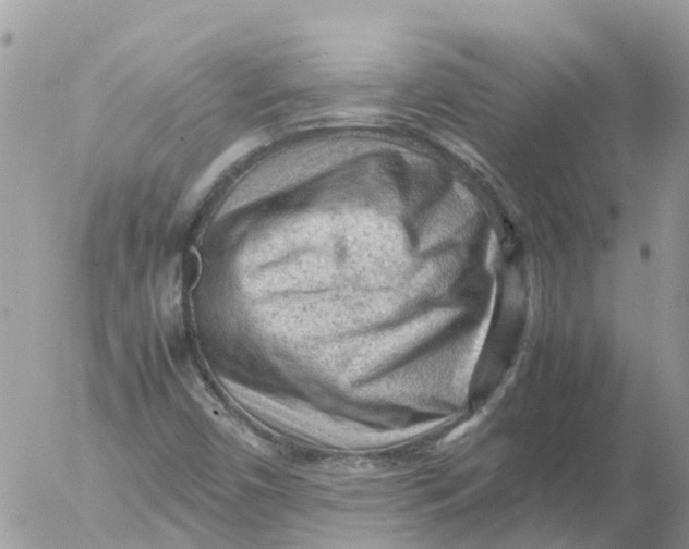 X0000053151450200508012257
