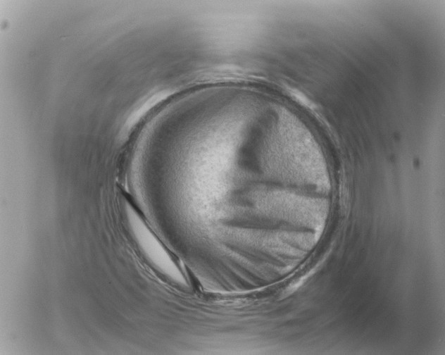 X0000053151453200508012257