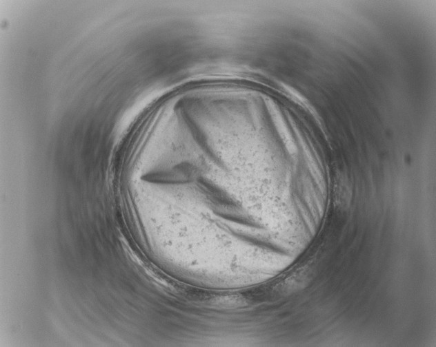 X0000053151464200508012257