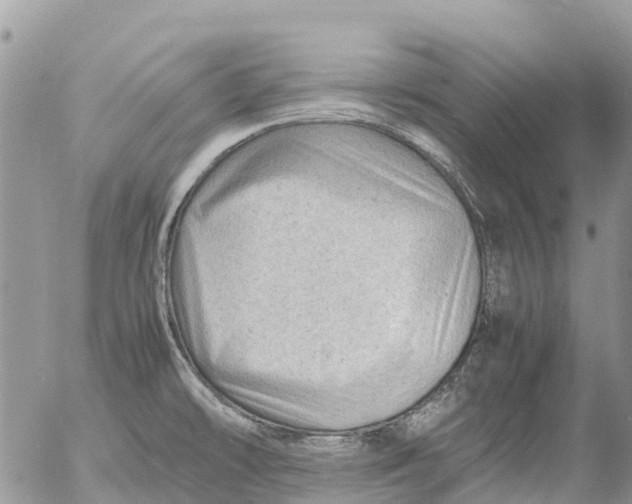 X0000053151478200508012257
