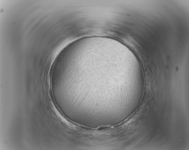 X0000053151479200508012257