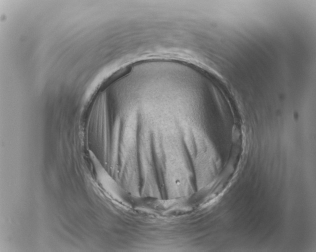X0000053151506200508012256