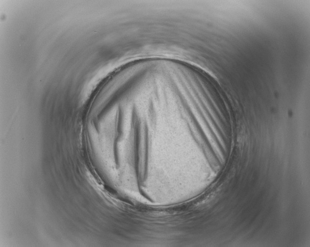 X0000053151507200508012256