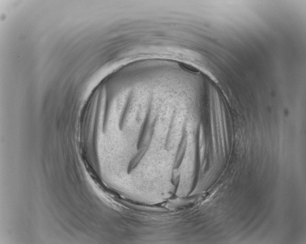 X0000053151523200508012256