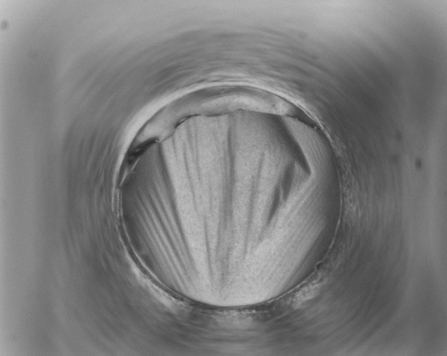 X0000053151527200508012256