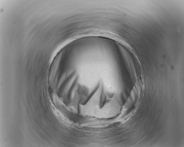 X0000053151530200508012256
