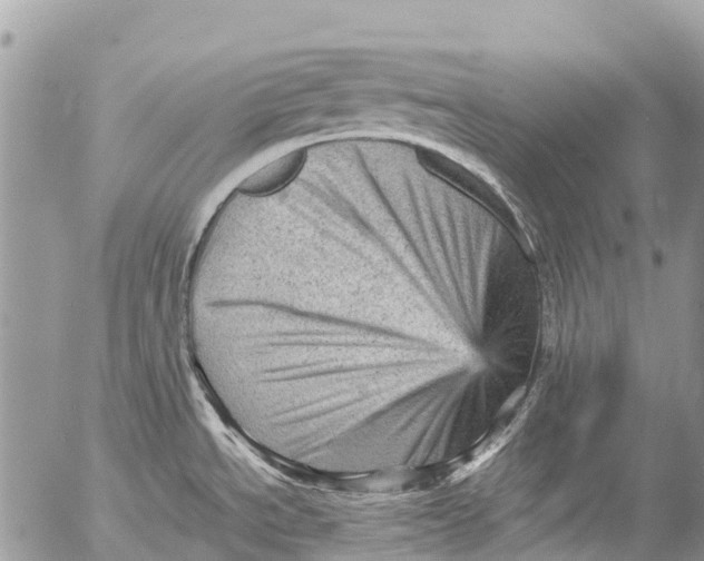 X0000053151534200508012257