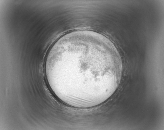 X0000053150002200508081423