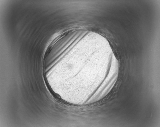 X0000053150003200508081423