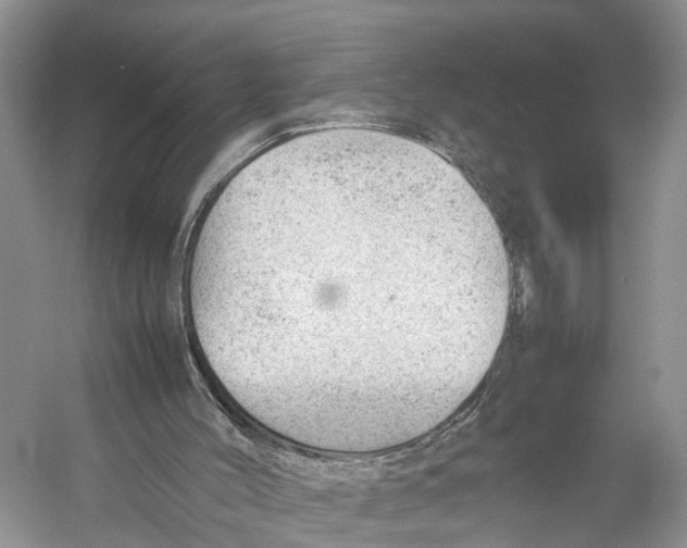 X0000053150004200508081423