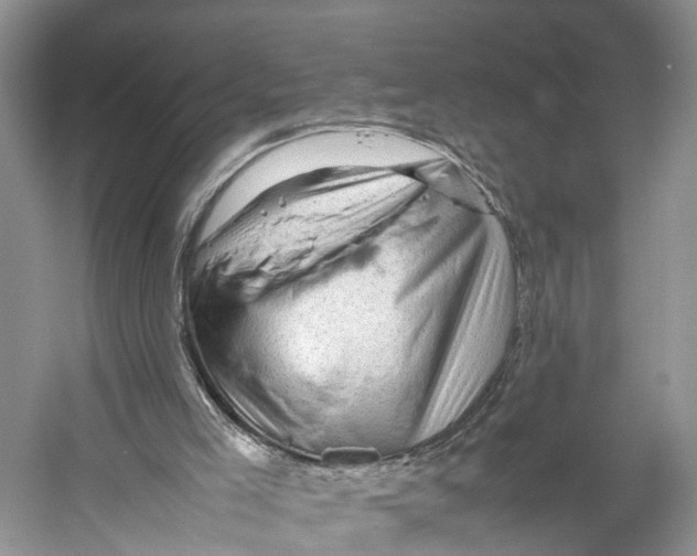 X0000053150005200508081423