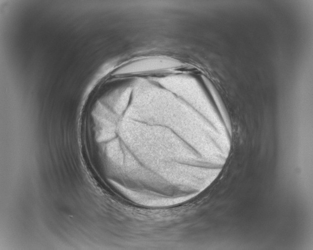 X0000053150006200508081423