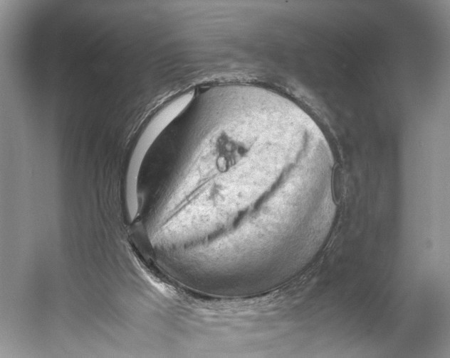 X0000053150009200508081422