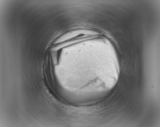 X0000053150010200508081422