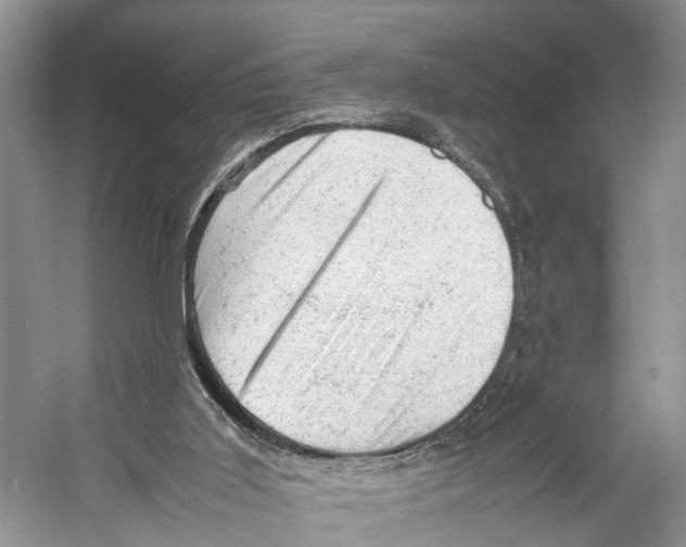 X0000053150011200508081422