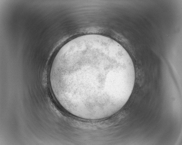 X0000053150012200508081422