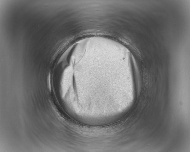 X0000053150014200508081422