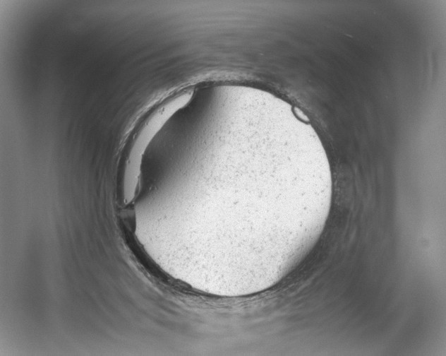 X0000053150015200508081422