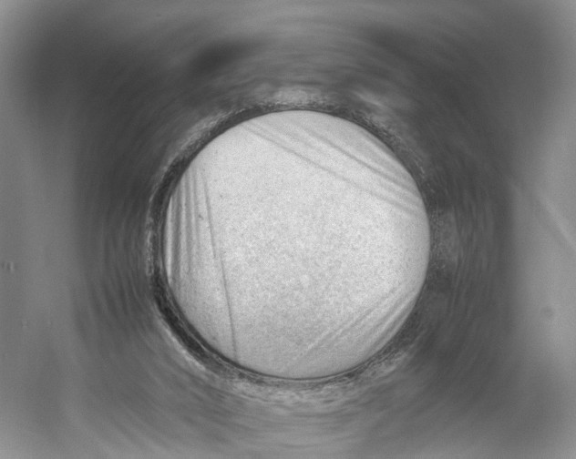 X0000053150016200508081422