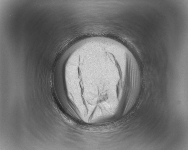 X0000053150017200508081422