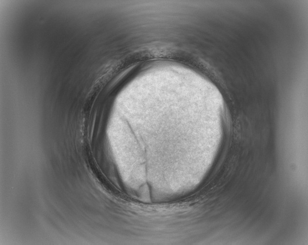 X0000053150018200508081422