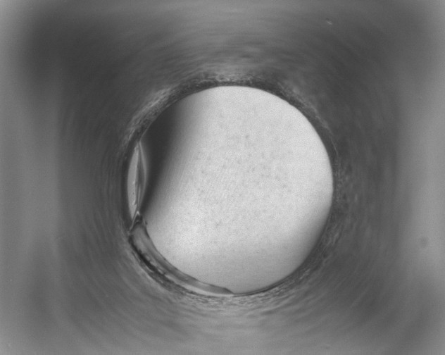 X0000053150019200508081422