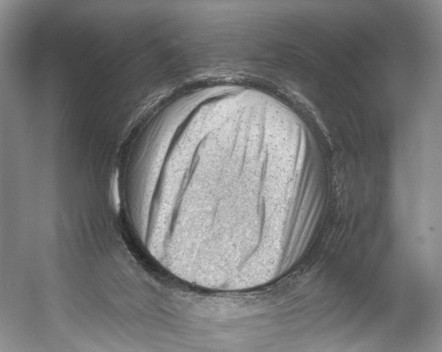 X0000053150020200508081422