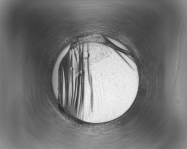 X0000053150021200508081422