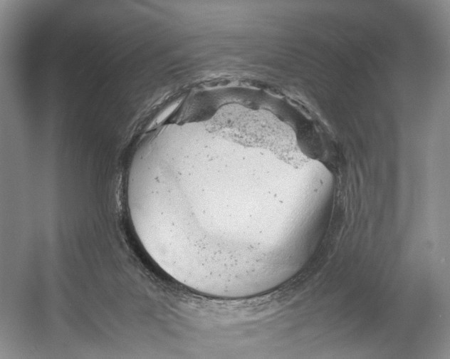 X0000053150023200508081422