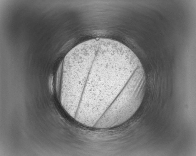 X0000053150024200508081422