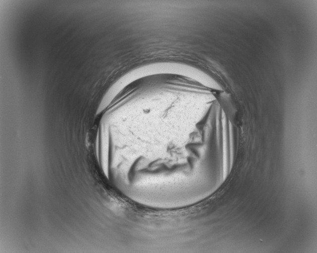 X0000053150025200508081422